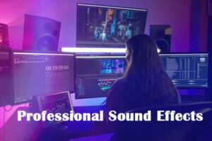 Professional Sound Effects